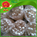 Organic Cultivated Mushroom healthy Jade white Mushroom